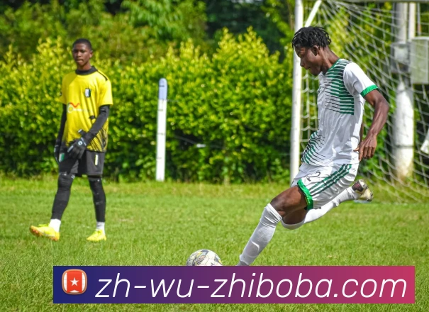 直播8平台生态图